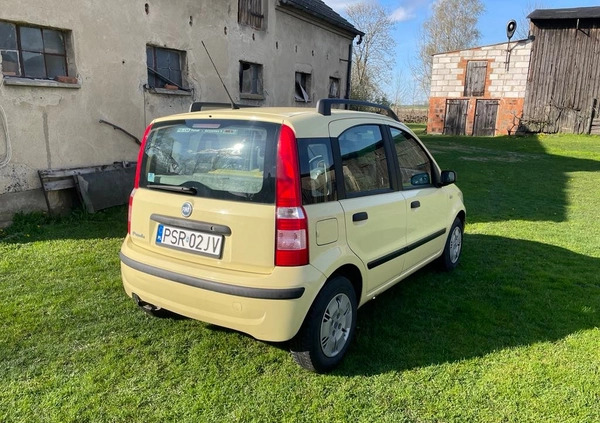 Fiat Panda cena 5500 przebieg: 235000, rok produkcji 2005 z Lidzbark małe 67